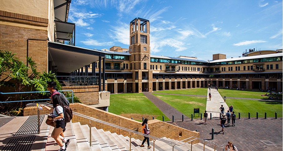 Students and staff at the UNSW Quad steps
